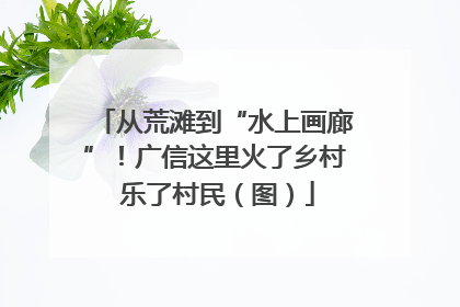 从荒滩到“水上画廊”！广信这里火了乡村 乐了村民（图）