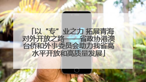 以“专”业之力 拓展青海对外开放之路——省政协港澳台侨和外事委员会助力我省高水平开放和高质量发展