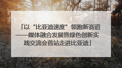 以“比亚迪速度”领跑新赛道——媒体融合发展暨绿色创新实践交流会首站走进比亚迪