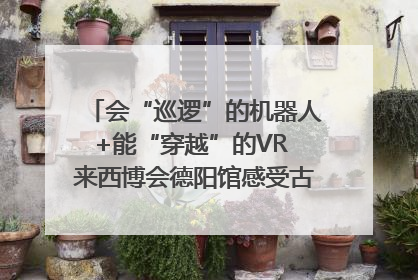 会“巡逻”的机器人+能“穿越”的VR 来西博会德阳馆感受古蜀文明与现代智造的时空对话｜西博视界