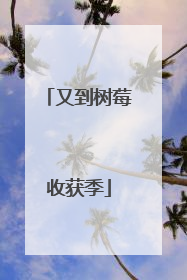 又到树莓收获季