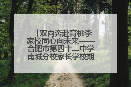 双向奔赴育桃李 家校同心向未来——合肥市第四十二中学南城分校家长学校期末总结会圆满召开