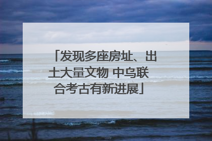 发现多座房址、出土大量文物 中乌联合考古有新进展