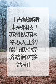 古城邂逅未来科技！苏州姑苏区举办人工智能与低空经济路演对接活动