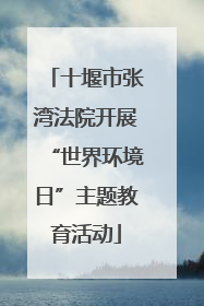 十堰市张湾法院开展“世界环境日”主题教育活动