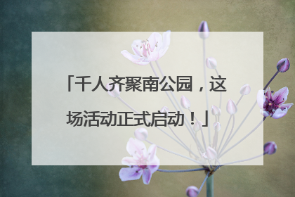 千人齐聚南公园，这场活动正式启动！