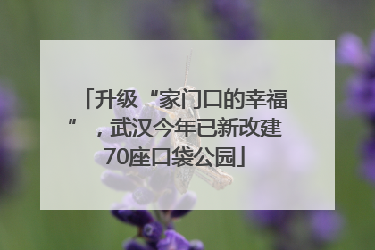 升级“家门口的幸福”，武汉今年已新改建70座口袋公园