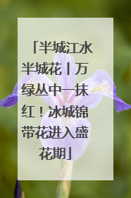 半城江水半城花丨万绿丛中一抹红！冰城锦带花进入盛花期