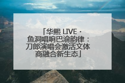 华熙 LIVE・鱼洞唱响巴渝韵律：刀郎演唱会激活文体商融合新生态