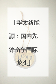 华太新能源：国内先锋奋争国际龙头