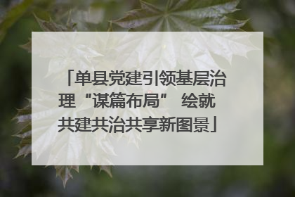 单县党建引领基层治理“谋篇布局” 绘就共建共治共享新图景