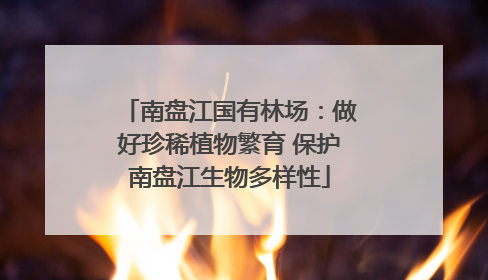 南盘江国有林场：做好珍稀植物繁育 保护南盘江生物多样性