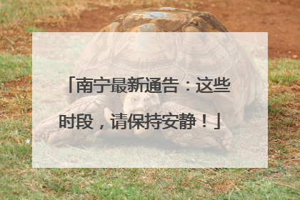 南宁最新通告：这些时段，请保持安静！