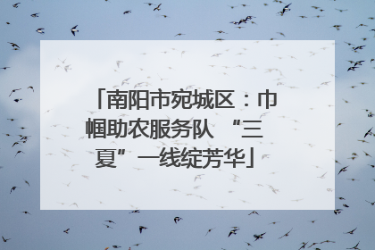 南阳市宛城区：巾帼助农服务队 “三夏”一线绽芳华