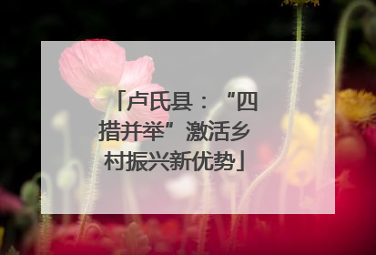 卢氏县：“四措并举”激活乡村振兴新优势