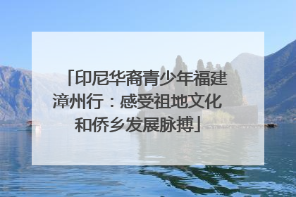 印尼华裔青少年福建漳州行：感受祖地文化和侨乡发展脉搏