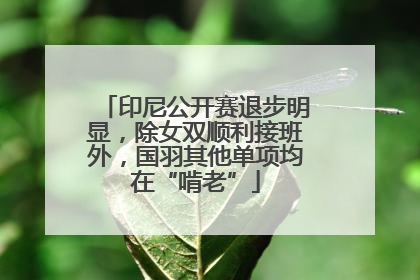 印尼公开赛退步明显，除女双顺利接班外，国羽其他单项均在“啃老”
