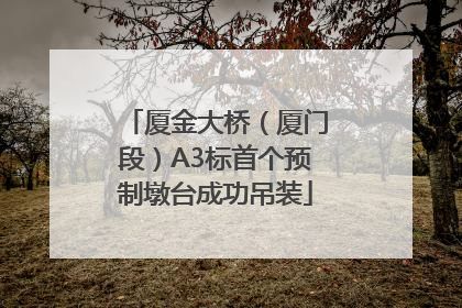 厦金大桥（厦门段）A3标首个预制墩台成功吊装