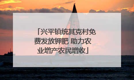 兴平镇统其克村免费发放钾肥 助力农业增产农民增收
