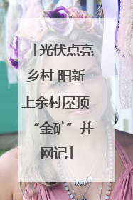 光伏点亮乡村 阳新上余村屋顶“金矿”并网记
