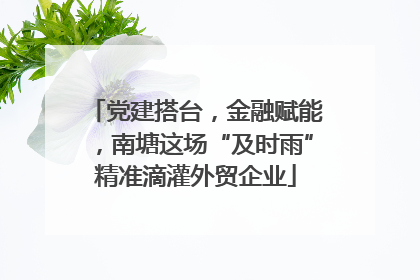 党建搭台，金融赋能，南塘这场“及时雨”精准滴灌外贸企业