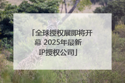 全球授权展即将开幕 2025年最新IP授权公司