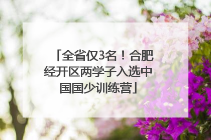 全省仅3名！合肥经开区两学子入选中国国少训练营