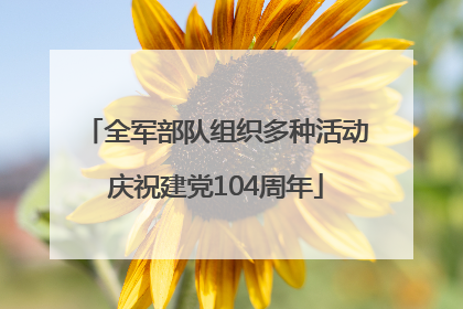 全军部队组织多种活动庆祝建党104周年