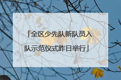 全区少先队新队员入队示范仪式昨日举行