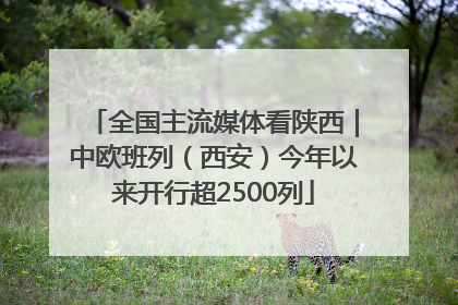 全国主流媒体看陕西｜中欧班列（西安）今年以来开行超2500列