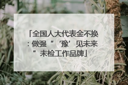 全国人大代表金不换：做强“‘豫’见未来”未检工作品牌