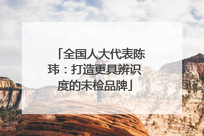 全国人大代表陈玮：打造更具辨识度的未检品牌