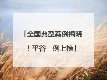 全国典型案例揭晓！平谷一例上榜