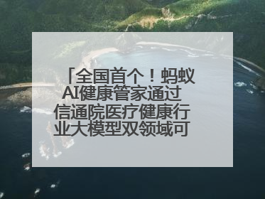 全国首个！蚂蚁AI健康管家通过信通院医疗健康行业大模型双领域可信评估