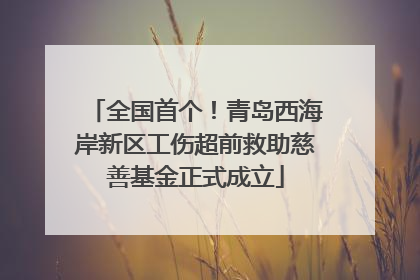 全国首个！青岛西海岸新区工伤超前救助慈善基金正式成立