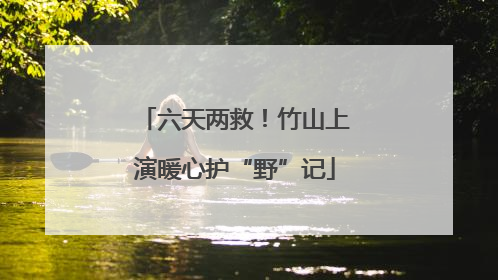 六天两救！竹山上演暖心护“野”记