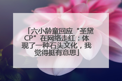 六小龄童回应“圣黛CP”在网络走红：体现了一种石头文化，我觉得挺有意思