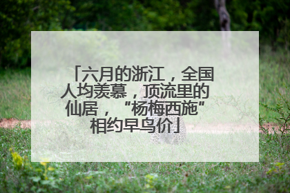 六月的浙江，全国人均羡慕，顶流里的仙居，“杨梅西施”相约早鸟价