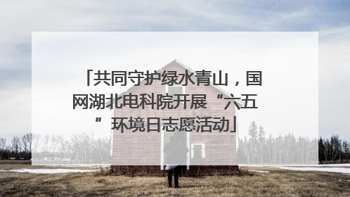 共同守护绿水青山，国网湖北电科院开展“六五”环境日志愿活动