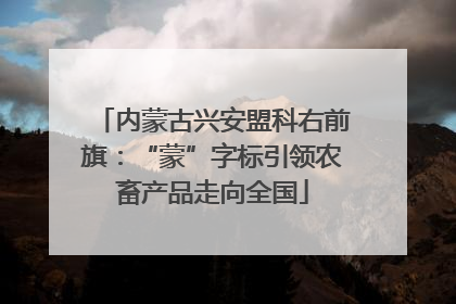 内蒙古兴安盟科右前旗：“蒙”字标引领农畜产品走向全国