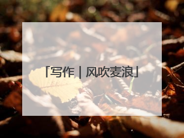 写作｜风吹麦浪