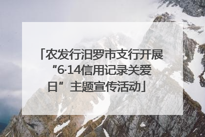 农发行汨罗市支行开展“6·14信用记录关爱日”主题宣传活动