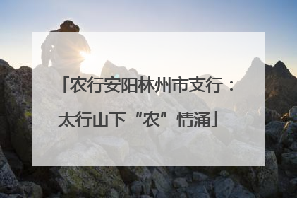 农行安阳林州市支行：太行山下“农”情涌
