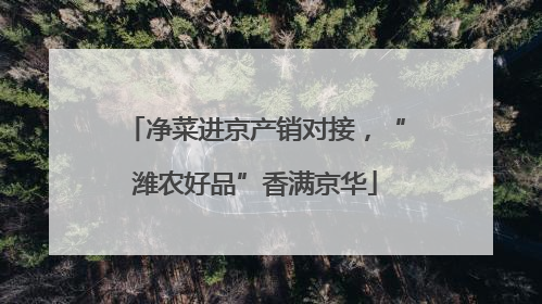 净菜进京产销对接，“潍农好品”香满京华