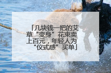 几块钱一把的艾草“变身”花束卖上百元，年轻人为“仪式感”买单