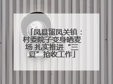 凤县留凤关镇：村委院子变身晒麦场 扎实推进“三夏”抢收工作