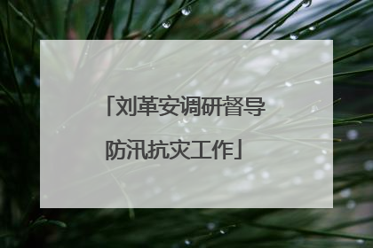 刘革安调研督导防汛抗灾工作