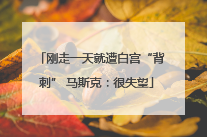 刚走一天就遭白宫“背刺” 马斯克：很失望