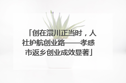 创在澴川正当时，人社护航创业路——孝感市返乡创业成效显著