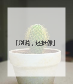 别说，还挺像